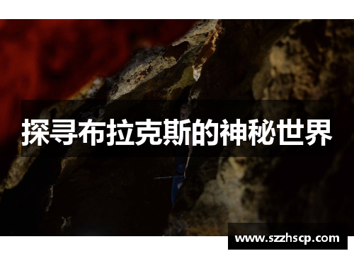 探寻布拉克斯的神秘世界