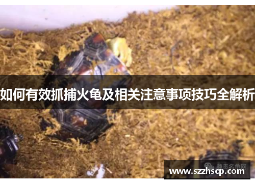 如何有效抓捕火龟及相关注意事项技巧全解析